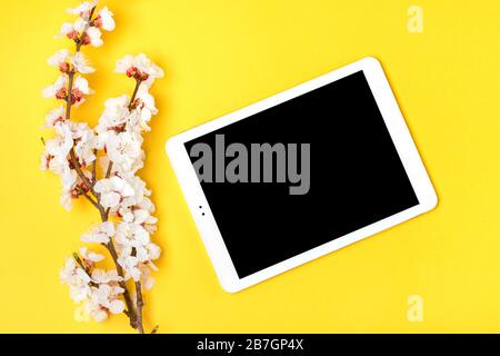 Blumenstrauß mit Strümpfen aus Aprikosenbaum mit Blumen, weiße Tablette auf gelbem Hintergrund. Platz für Text. Flaches Lay Mock up Stockfoto