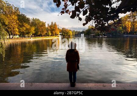 Frau mit Hut in der Silhouette in Seenähe mit gelben Herbst Bäume im park Stockfoto