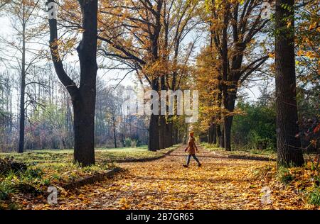 Frau zu Fuß auf der Straße mit gelben Herbst Bäume im park Stockfoto