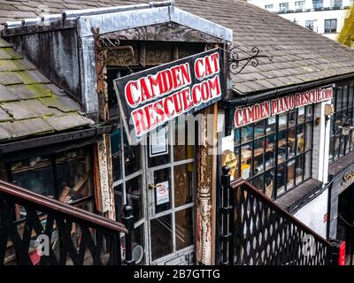 Camden Cat Rescue.com Camden Market North London Stockfoto