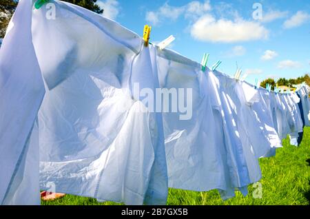 Hemd, Kleidung, Waschgang, Wäsche, Trocknen, Weiß, Bekleidung, sauber, Sauberkeit, Tuch, Wäscheleine, Wäscheleine, Kleidung, Baumwolle, trocken, Mode, g. Stockfoto