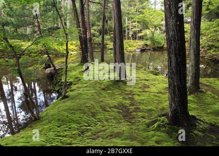 Berühmter Saiho-ji Moosgarten in Kyoto Stockfoto