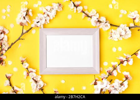 Bilderrahmen und Zweige mit Aprikosenbaum mit weißen Blumen auf gelbem Hintergrund. Platz für Text. Das Konzept des Frühlings kam, frohe ostern, Muttertag Stockfoto