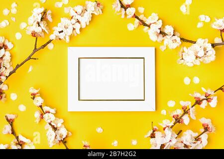 Bilderrahmen und Zweige mit Aprikosenbaum mit weißen Blumen auf gelbem Hintergrund. Platz für Text. Das Konzept des Frühlings kam, frohe ostern, Muttertag Stockfoto