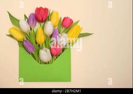 Blumen Und Umschlag Der Tulpen Im Frühling Stockfoto