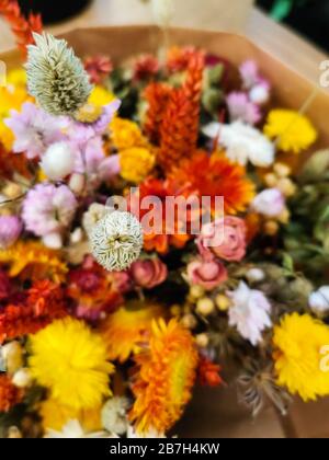 Leuchtend getrocknete Blumenarrangement in Rot und Gelb Stockfoto