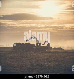 Bagger, der auf der Baustelle arbeitet und bei Sonnenaufgang eine Müllkippe lädt. Stockfoto