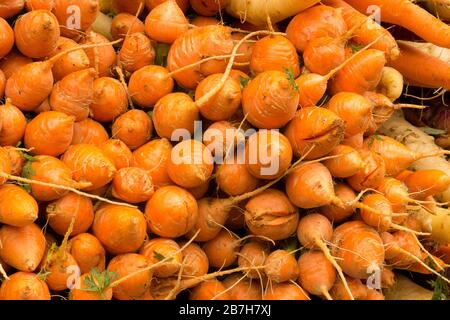 Karotten zum Verkauf auf dem Bauernmarkt Stockfoto