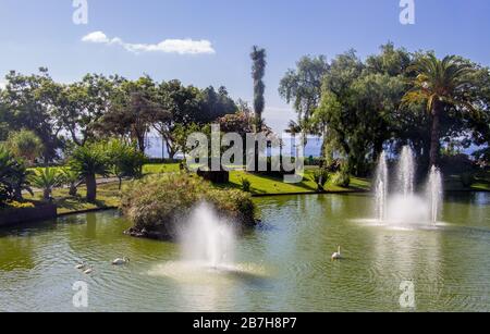 Blick auf die Gärten in Funchal City auf der Insel Madeira Stockfoto