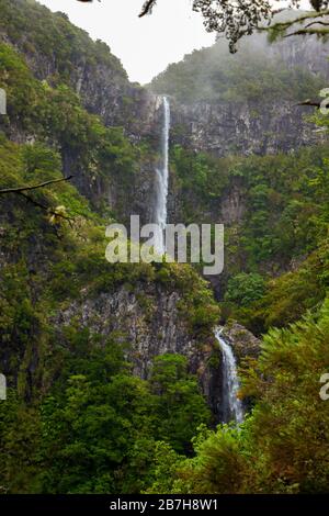 Risco-Wasserfall auf der insel madeira, portugal, mitten im tropischen Wald Stockfoto