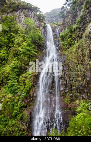 Risco-Wasserfall auf der insel madeira, portugal, mitten im tropischen Wald Stockfoto