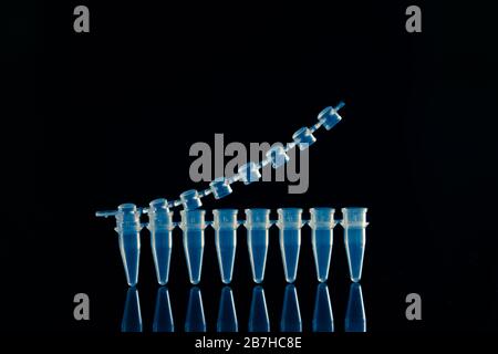 PCR-Mikroröhrchen zur Identifizierung von Coronavirus auf Schwarz Stockfoto