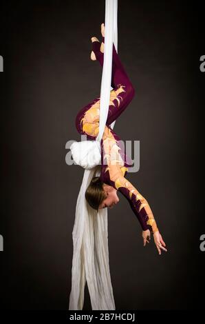 Sportliche Frau im Burgunder Anzug führt Gymnastik- und Zirkusübungen auf weißer Seide durch. Studio-Aufnahmen vor dunklem Hintergrund, isolierte Bilder. Stockfoto