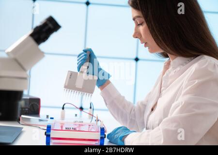 Laden von Samples und läuft einem Agarosegel für Elektrophorese Gelelektrophorese ist der Standard lab Verfahren zur Trennung von DNA Stockfoto