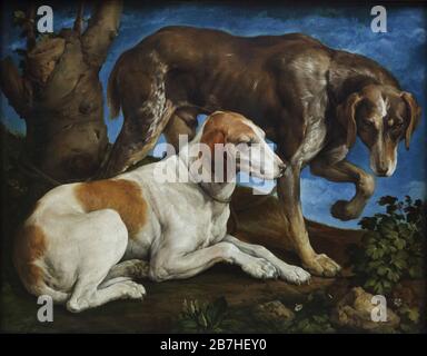 Gemälde "zwei an einen Baumstumpf gebundene Jagdhunde" des italienischen Renaissance-Malers Jacopo Bassano (1548) im Louvre in Paris, Frankreich. Stockfoto