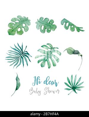 Handgezeichnetes tropisches Wasserfarben-Set. Exotische Blätter Illustrationen, Dschungelbaum, brasilien trendy. Perfekt für das Materialdesign. Kollektion von Aloha. Stockfoto