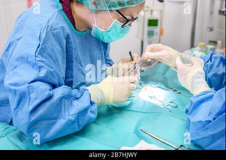 Chirurg in Operationssaal, operiert einen Patienten. Stockfoto