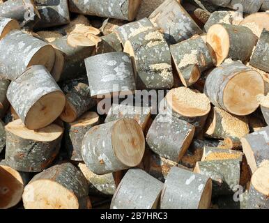 Holzstämme, die am Holzfäller geschnitten und brennbar aufgehockt wurden Stockfoto