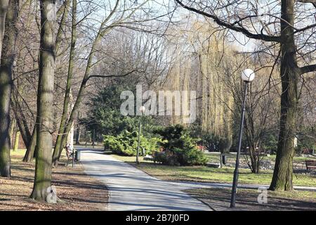 Frühfrühling im Park von Siemianowice Slaskie, Stadt in Obermösien (Gorny Slask) in Polen. Stockfoto