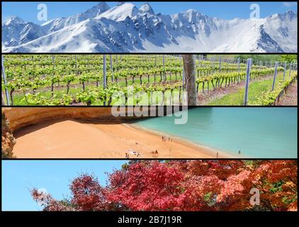 Vier Jahreszeiten Banner-Collage - Winter, Frühling, Sommer und Herbst Konzept. Stockfoto