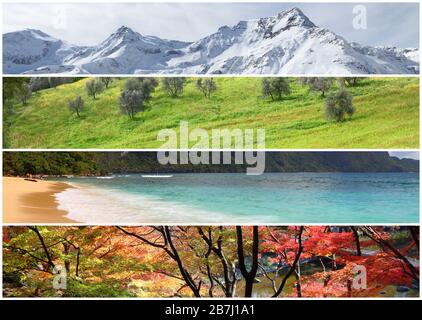 Vier Jahreszeiten Banner-Collage - Winter, Frühling, Sommer und Herbst Konzept. Stockfoto