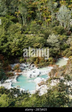 Blick auf die kochenden heißen Thermalbäder im Orakei Koraki Geothermal Park, Neuseeland Stockfoto