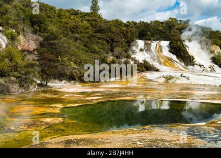 Der smarergrüne Pool von Hochstetter, umgeben von Matten farbener Algen auf den Kieselalgenterrassen des Orakei Korako Geothermal Park, Neuseeland Stockfoto