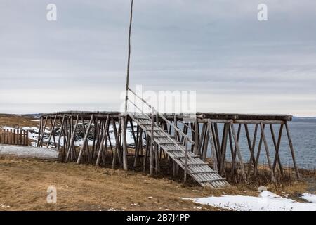 Fischfacke, eine Holzplattform zum Trocknen von Salzcod in Wind und Sonne, auf der Bonavista Peninsula in Neufundland, Kanada Stockfoto