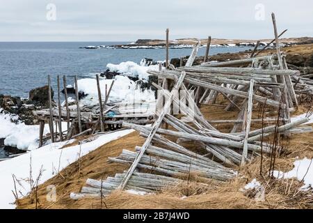 Fischfacke, eine Holzplattform zum Trocknen von Salzcod in Wind und Sonne, auf der Bonavista Peninsula in Neufundland, Kanada Stockfoto