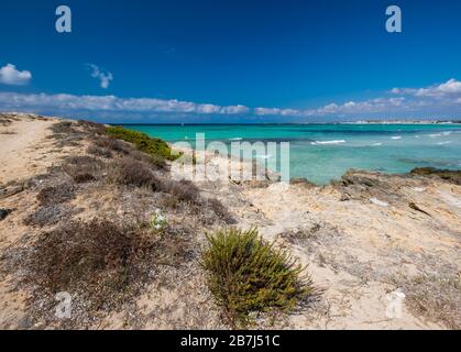 Die schöne Meeresfarbe von Ses Salines Beach, Insel Mallorca, Balearen, Spanien Stockfoto