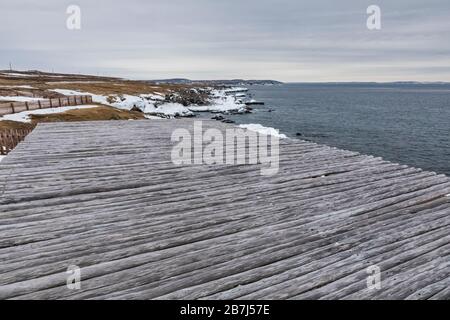 Fischfacke, eine Holzplattform zum Trocknen von Salzcod in Wind und Sonne, auf der Bonavista Peninsula in Neufundland, Kanada Stockfoto