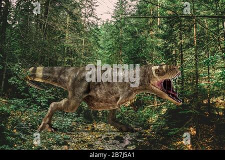 Dinosaurier T-Rex brüllt in einem Nadelwald. Fotorealistische 3D-Darstellung. Stockfoto