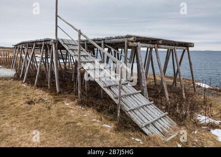 Fischfacke, eine Holzplattform zum Trocknen von Salzcod in Wind und Sonne, auf der Bonavista Peninsula in Neufundland, Kanada Stockfoto