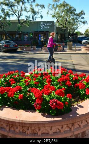 Ein Vordergrund der roten Bettina blüht in Pflanzmaschinen mit einer Frau auf einem Segway Personentransportwagen, der um die Altstadt von Scottsdale, AZ, steht Stockfoto