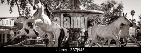 Ein Panoramaformat der geliebten arabischen Pferdestatuen aus Bronze mit Wasserbrunnen, entlang des Bereichs "Artwork the Line" der Altstadt von Scottsdale, AZ, USA, Stockfoto