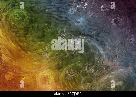 Blasenschüssel mit 60-mm-Makroobjektiv Stockfoto