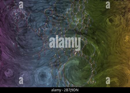 Blasenschüssel mit 60-mm-Makroobjektiv Stockfoto