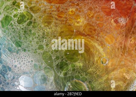 Blasenschüssel mit 60-mm-Makroobjektiv Stockfoto