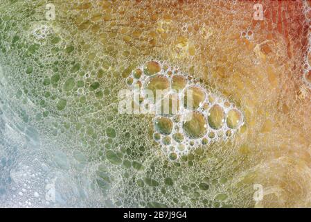 Blasenschüssel mit 60-mm-Makroobjektiv Stockfoto