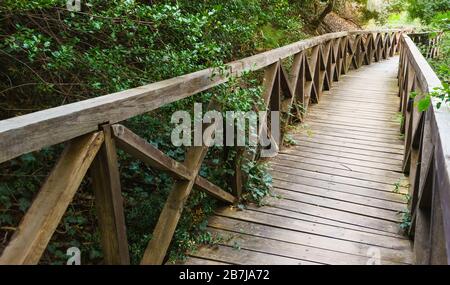 Wunderschönes Holzgeländer einer kleinen Brücke, die den Hügel hinaufführt, überwachsen mit Bäumen und Sträuchern. Durch das Geländer bricht durch die Feigentriebe Stockfoto