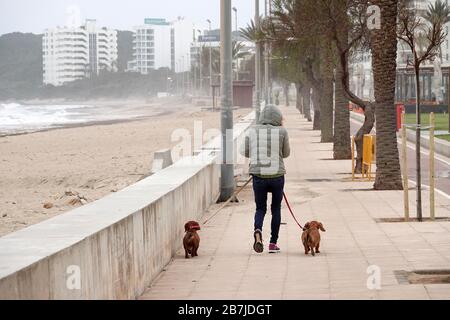 Cala Millor, Spanien. März 2020. Eine Frau läuft ihre Hunde. Während der Ausgangssperre in Spanien ist das gehen ausdrücklich erlaubt. Ansonsten ist die Strandpromenade im Ferienort menschenleer. Um die sich schnell ausbreitende Coronavirus Epidemie zu bekämpfen, hat die spanische Regierung am Samstagabend eine zweiwöchige Ausgangssperre ausgerufen. Credit: Bodo Marks / dpa / Alamy Live News Stockfoto