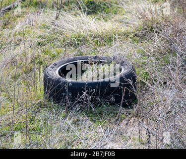 Ein alter Lkw-Reifen in Osoyoos, British Columbia, Kanada Stockfoto