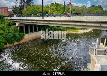 Wasserdamm in Thornbury, Ontario, Kanada, Nordamerika Stockfoto