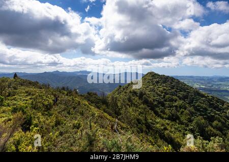 Zu Fuß zum Gipfel des Mount Karangahake Stockfoto