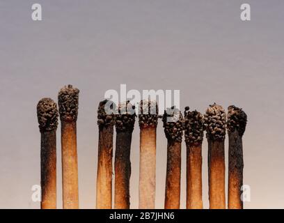 Matchstäbchen brennen, ein Stück verhindert, dass sich das Feuer ausbreitet - das Konzept, wenn es zu spät ist, um die Ausbreitung des Coronavirus zu verhindern: Isolation, Aufenthalt Stockfoto