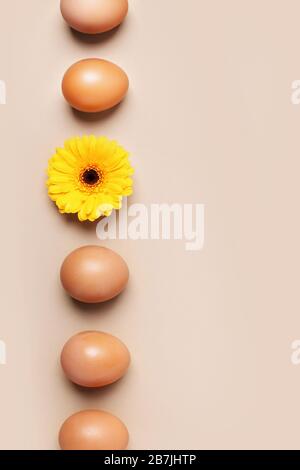 Frühlings- und osterkonzept. Eine Reihe brauner Eier und eine gelbe Blume. Stockfoto