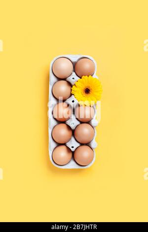 Frühlings- und osterkonzept. Eine Schachtel mit braunen Eiern und einer gelben Blüte. Stockfoto