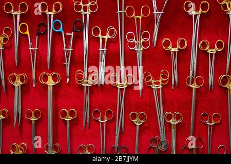 Chirurgische Instrumente und Werkzeuge im Vitrine. Verkauf Stockfoto