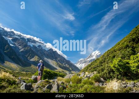 Man auf grasbewachsenem Hügel mit Gletschern und schneebedeckten Bergen, Aoraki/Mount Cook National Park, South Island, Neuseeland Stockfoto