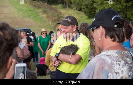 "Backyard Kiwi"-Vertreter mit Kiwi, ausgestattet mit einem Funkgerät in der lokalen Kiwi-Version, Parua Bay in der Nähe von Whangarei, North Island, Neuseeland Stockfoto